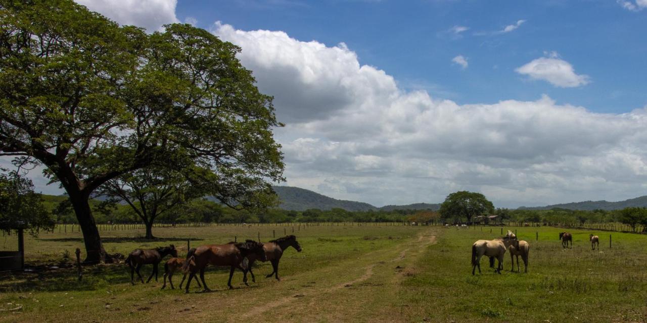 Rancho Humo Estancia Puerto Humo  Екстер'єр фото