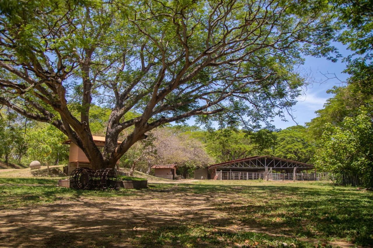 Rancho Humo Estancia Puerto Humo  Екстер'єр фото